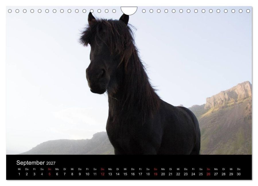 InsideView 14