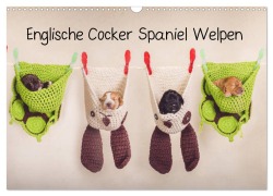 Cover-Bild zum Titel 'Englische Cocker Spaniel Welpen (Wandkalender 2026 DIN A3 quer), CALVENDO Monatskalender' von 'Sabrina Wobith Photography - FotosVonMaja'