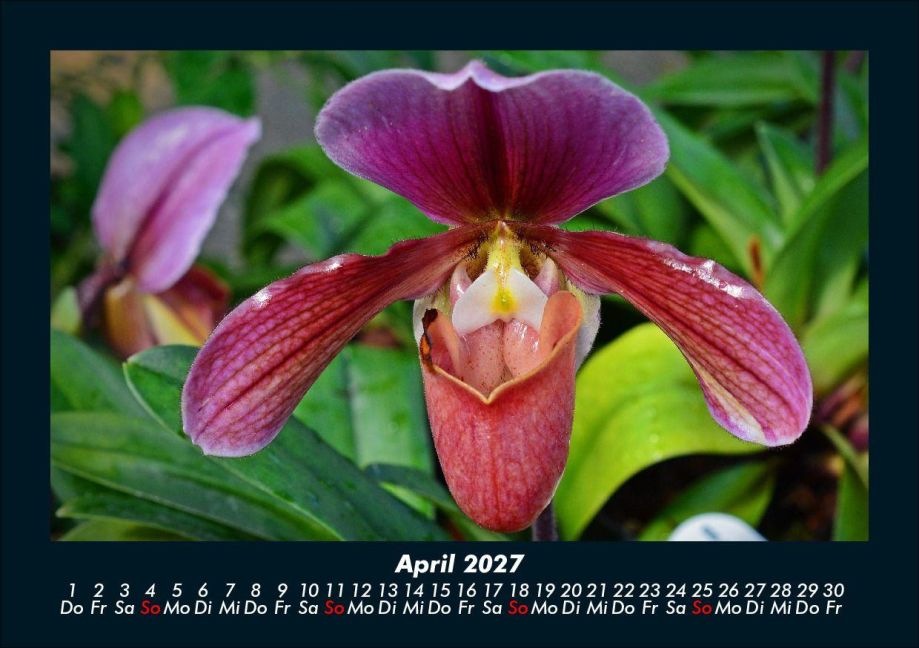 InsideView 8