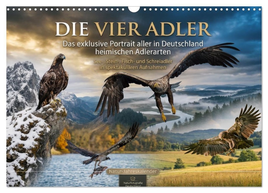 Die vier Adler - Das exklusive Portrait aller in Deutschland heimischen Adler (Wandkalender 2027 DIN A3 quer), CALVENDO Monatskalender - Arne Wünsche