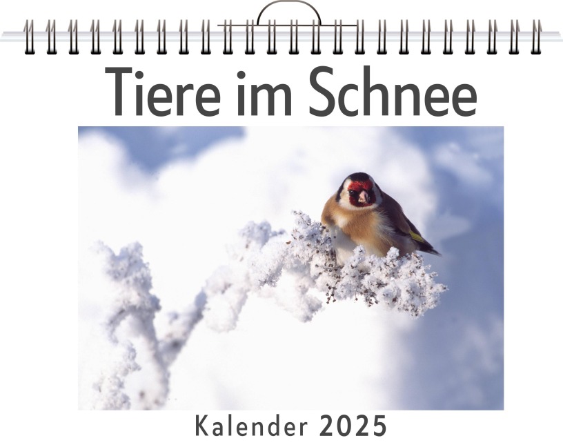 Tiere im Schnee - Nele Schröder