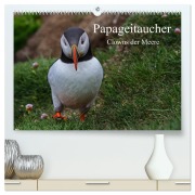 Cover-Bild zum Titel 'Papageitaucher Clowns der Meere (hochwertiger Premium Wandkalender 2026 DIN A2 quer), Kunstdruck in Hochglanz' von 'Leon Uppena'