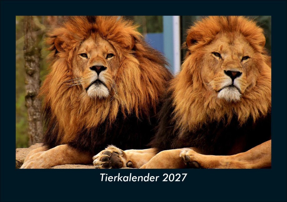 Tierkalender 2027 Fotokalender DIN A5 - Tobias Schmitt, Kevin Heber