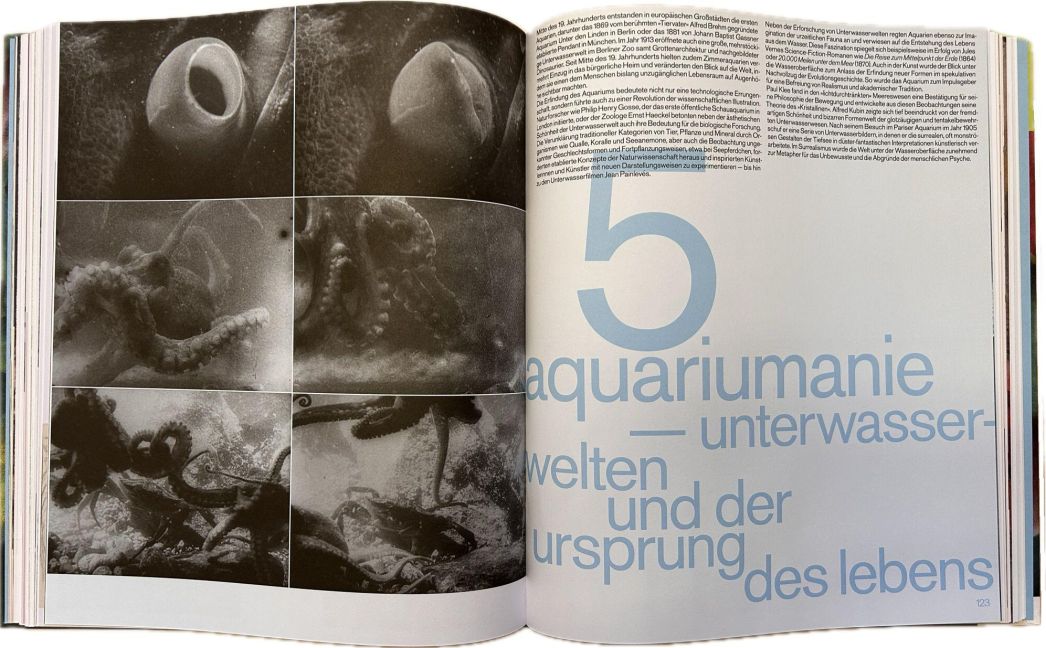 InsideView 4