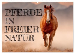 Cover-Bild zum Titel 'Pferde in freier Natur (Wandkalender 2026 DIN A2 quer), CALVENDO Monatskalender' von 'Mb Fotografie'