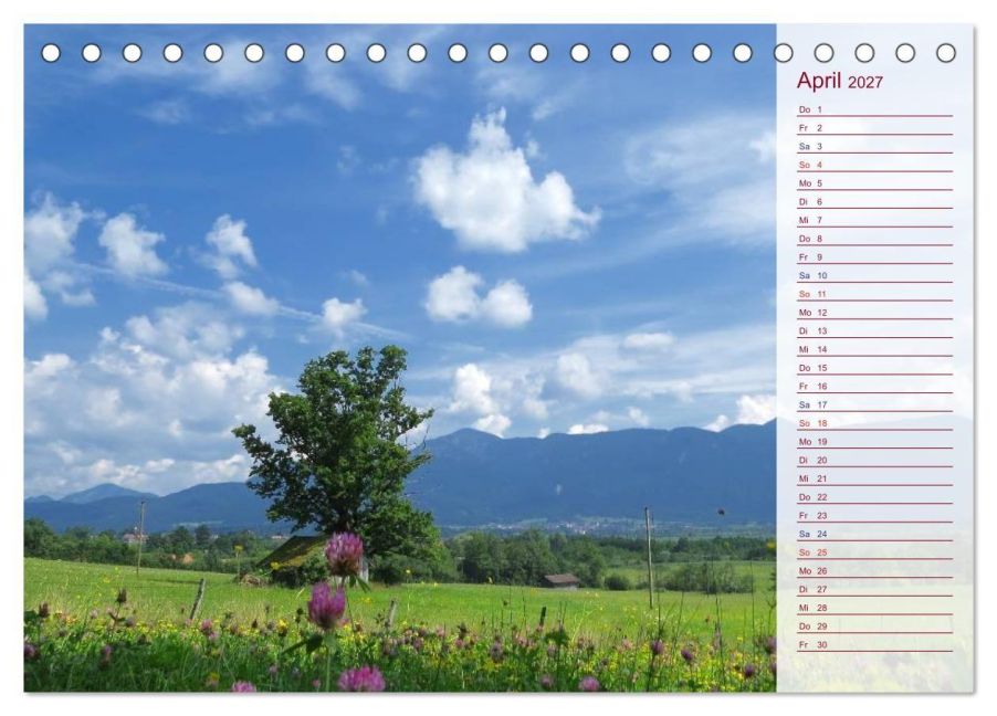 InsideView 9