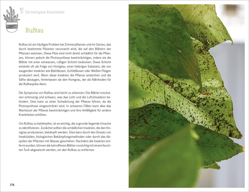 InsideView 6