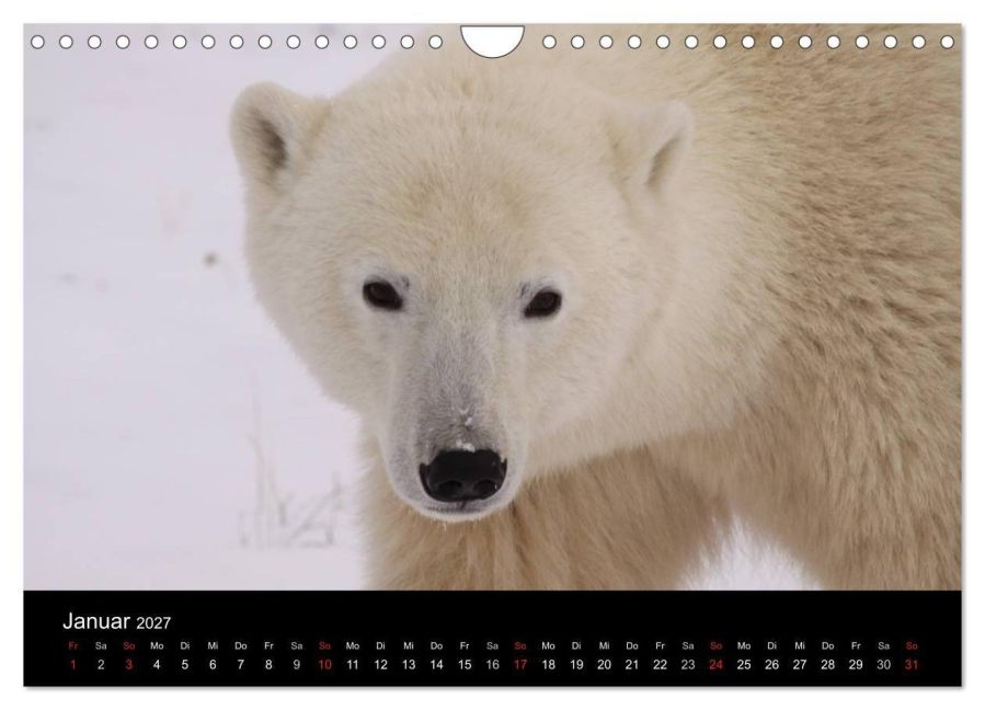 InsideView 6