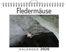 Cover-Bild zum Titel 'Fledermäuse' von 'Theo Schubert'