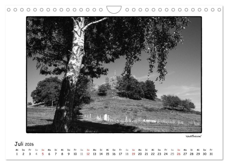 InsideView 12