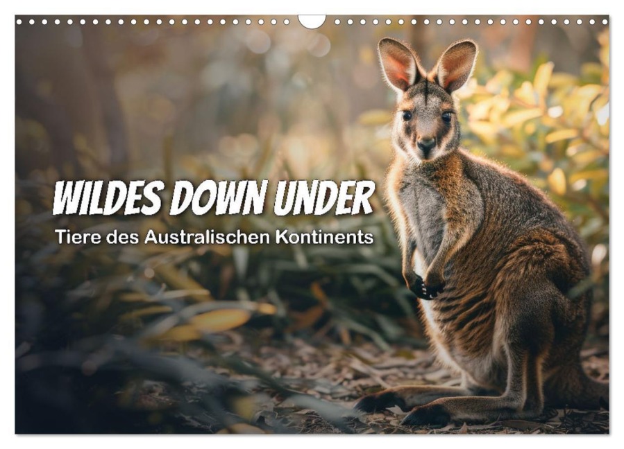 Wildes Down Under: Tiere des Australischen Kontinents (Wandkalender 2026 DIN A3 quer), CALVENDO Monatskalender - Peter R. Stuhlmann