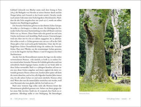InsideView 4