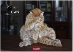 Cover-Bild zum Titel 'Funny Cats Kalender 2026 - Wandkalender | Fotokalender Tierkalender 35x50cm - Witziger Katzenkalender' von ''