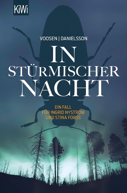 In stürmischer Nacht - Roman Voosen, Kerstin Signe Danielsson