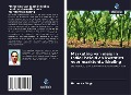 Cover-Bild zum Titel 'Marketing van maïs in India: beleid en kwesties voor marktontwikkeling' von 'Narendra Singh'