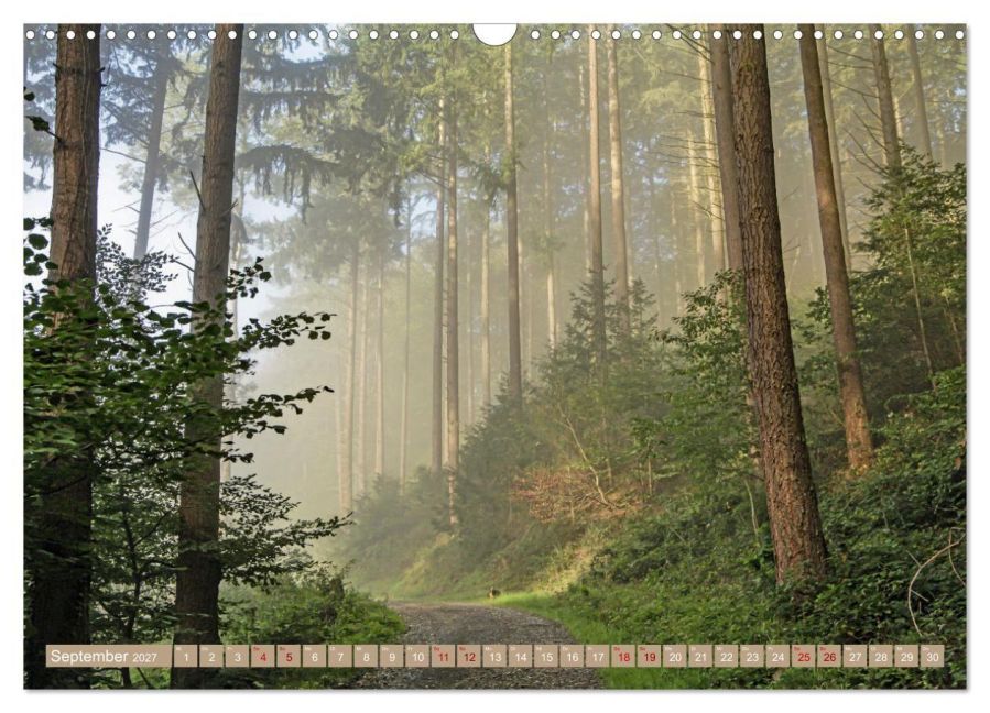 InsideView 14