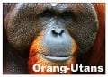 Orang-Utans (Wandkalender 2025 DIN A4 quer), CALVENDO Monatskalender - Elisabeth Stanzer