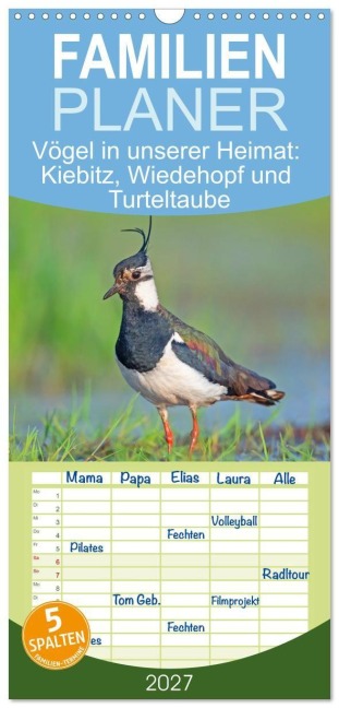 Familienplaner 2027 - Vögel in unserer Heimat: Kiebitz, Wiedehopf und Turteltaube mit 5 Spalten (Wandkalender, 21 x 45 cm) CALVENDO - Calvendo