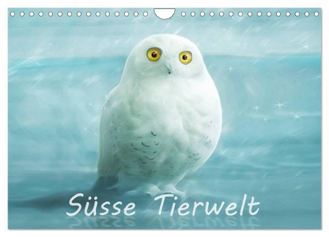 Süsse Tierwelt / CH-Version / Geburtstagskalender (Wandkalender 2024 DIN A4 quer), CALVENDO Monatskalender - Silvio Schoisswohl