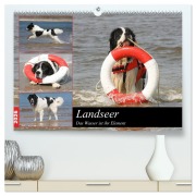Landseer - Das Wasser ist ihr Element (hochwertiger Premium Wandkalender 2026 DIN A2 quer), Kunstdruck in Hochglanz - Barbara Mielewczyk Und Brigitte Weil