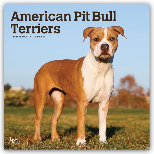 American Pit Bull Terriers 2027 - 16-Monatskalender - Browntrout Publishers