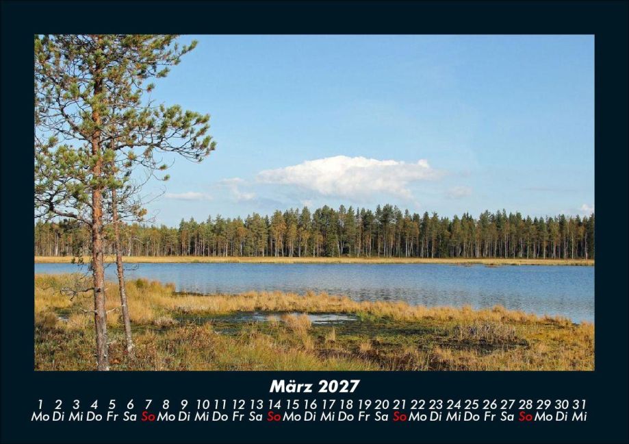 InsideView 7