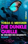 Cover-Bild zum Titel 'Die dunkle Quelle' von 'Tobias O. Meißner'