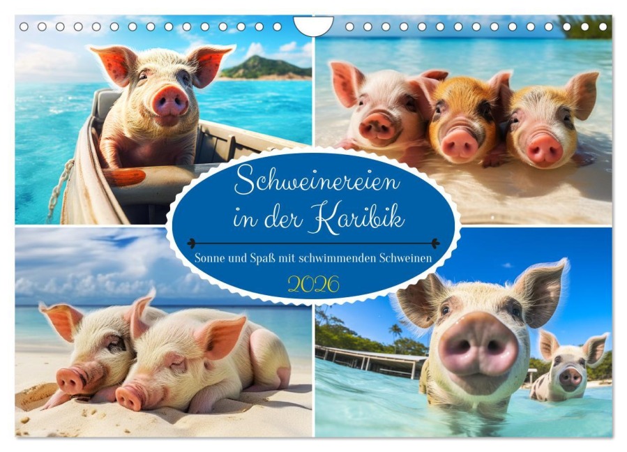 Schweinereien in der Karibik. Sonne und Spaß mit schwimmenden Schweinen (Wandkalender 2026 DIN A4 quer), CALVENDO Monatskalender - Rose Hurley