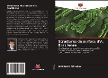 Cover-Bild zum Titel 'Structures de surface d'A. Brasilense' von 'Alexandre Shirokov'