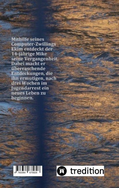 InsideView 1