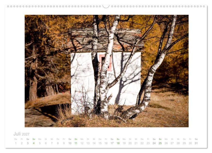 InsideView 11
