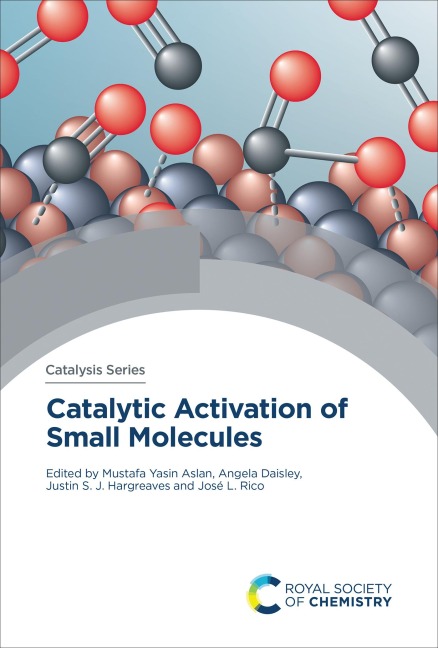 Catalytic Activation of Small Molecules - 