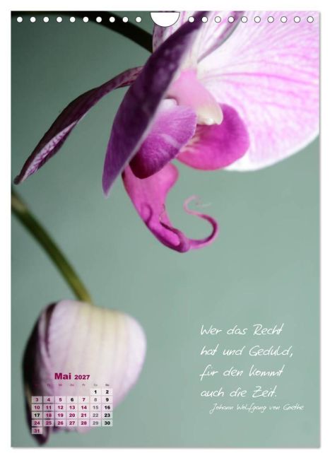 InsideView 10