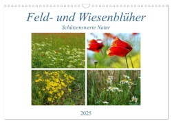 Feld- und Wiesenblüher Schützenswerte Natur (Wandkalender 2025 DIN A3 quer), CALVENDO Monatskalender - Martina Marten