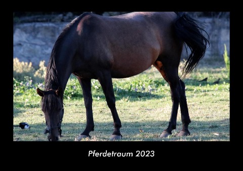 Pferdetraum 2023 Fotokalender DIN A3 - Tobias Becker
