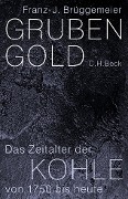Cover-Bild zum Titel 'Grubengold' von 'Franz-Josef Brüggemeier'