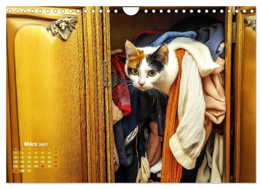 InsideView 8