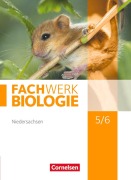 Cover-Bild zum Titel 'Fachwerk Biologie 5./6. Schuljahr. Schülerbuch Niedersachsen' von 'Udo Hampl, Marianne Herrmann, Katrin Oberschelp, Anke Pohlmann, Peter Pondorf'