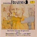 Johannes Brahms. Das Genie aus dem Gängeviertel. CD - Johannes Brahms