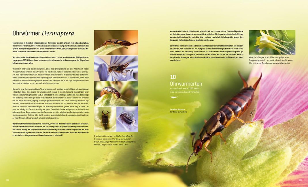 InsideView 16