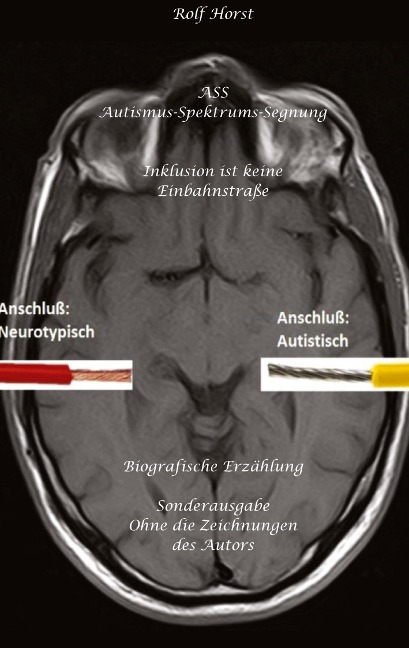 ASS Autismus-Spektrums-Segnung - Inklusion ist keine Einbahnstraße: hochfunktionaler Autismus, Mobbing, Trauma, Sucht, Häusliche Gewalt, Psychotherapie, Umzug, Inklusion, Katholische Kirche, Zen - Rolf Horst