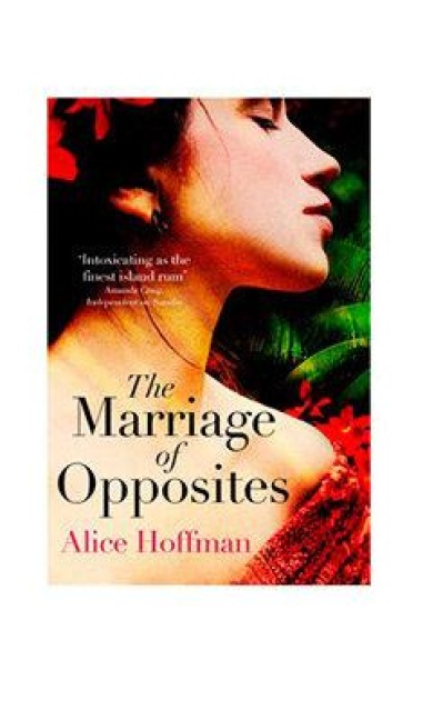 The Marriage of Opposites - Alice Hoffman