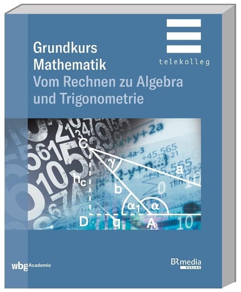 Grundkurs Mathematik - Ferdinand Weber