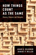 Cover-Bild zum Titel 'How Things Count as the Same' von 'Adam B. Seligman, Robert P. Weller'