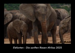 Cover-Bild zum Titel 'Elefanten - Die sanften Riesen Afrikas 2025 Fotokalender DIN A3' von 'Tobias Becker'