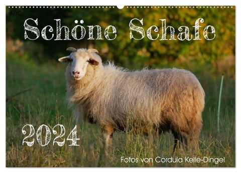 Schöne Schafe (Wandkalender 2024 DIN A2 quer), CALVENDO Monatskalender - Cordula Kelle-Dingel