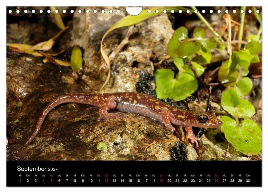 InsideView 14