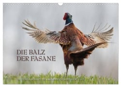 Emotionale Momente: Die Balz der Fasane / CH-Version (Wandkalender 2025 DIN A3 quer), CALVENDO Monatskalender - Ingo Gerlach GDT