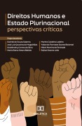 Direitos Humanos e Estado Plurinacional - Gabriel de Souza Salema, José Luiz Quadros de Magalhães, Waldimeiry Correa da Silva, María Elena Attard Bellido, Marina Caldeira Ladeira