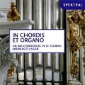 Cover-Bild zum Titel 'In Chordis et Organo-Die Brucknerorgel in St.Fl' von 'Andreas Etlinger'